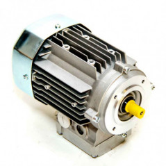 Moteur de vis tri 0,12kw MH 15