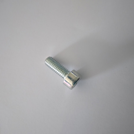 Vis 8.8 FZB CH M6X16