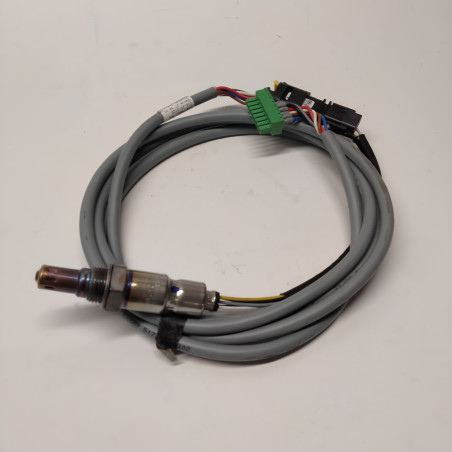 Sonde lambda