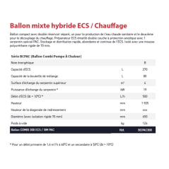 Ballon COMBI 300 ECS / BM PAC