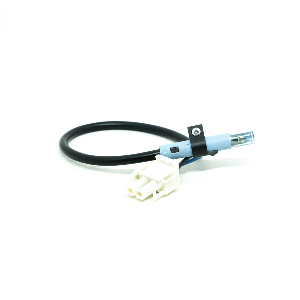 Cellule HL60
